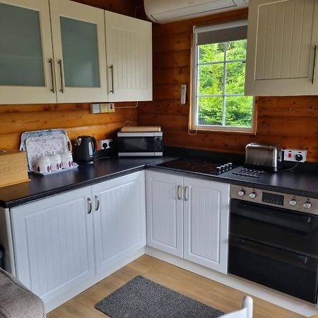 Mountain View Log Cabin In Snowdonia Nr Coed Y Brenin Tanygrisiau Exterior foto