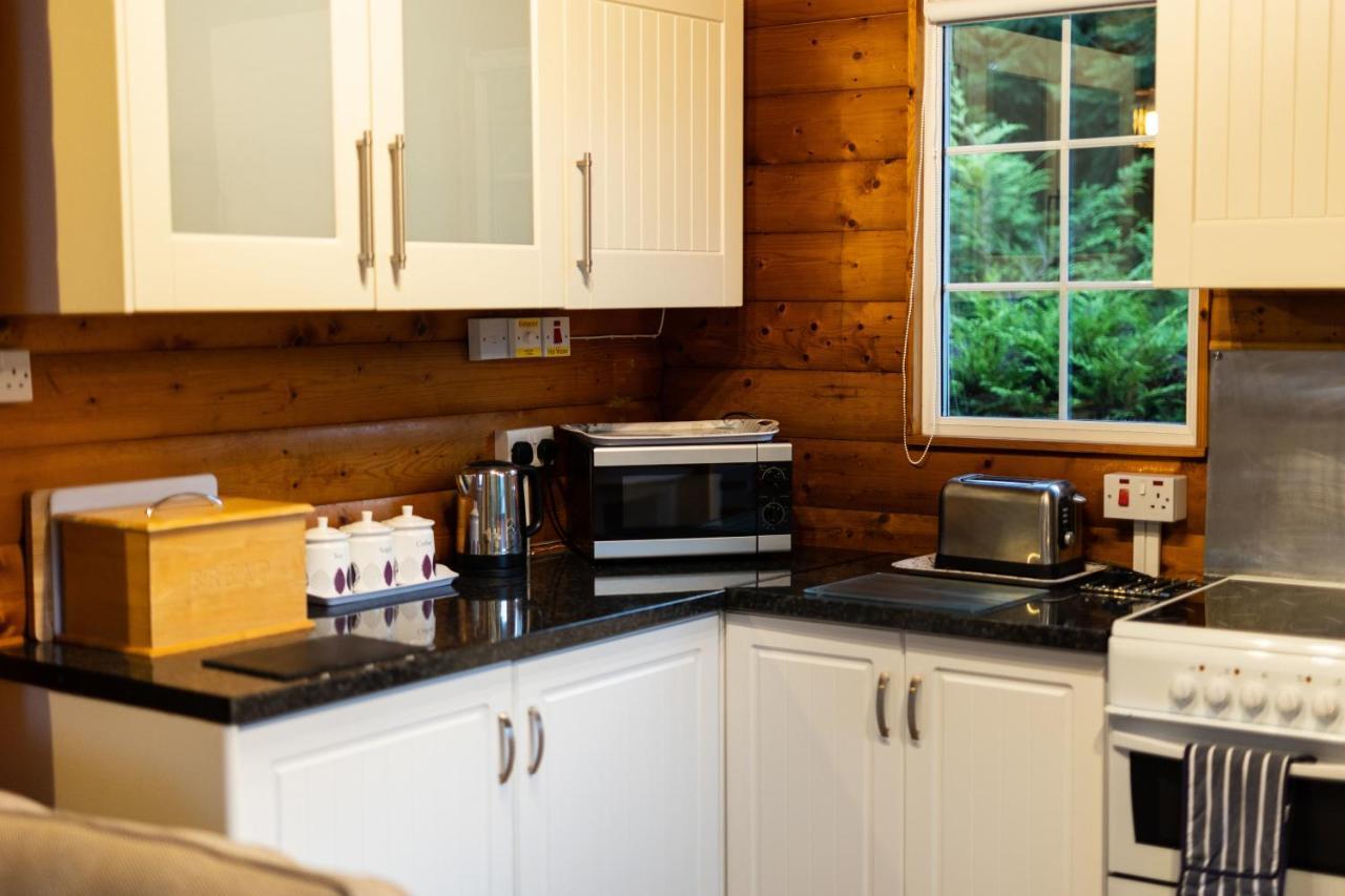 Mountain View Log Cabin In Snowdonia Nr Coed Y Brenin Tanygrisiau Exterior foto